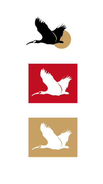 飞翔的小鸟插画