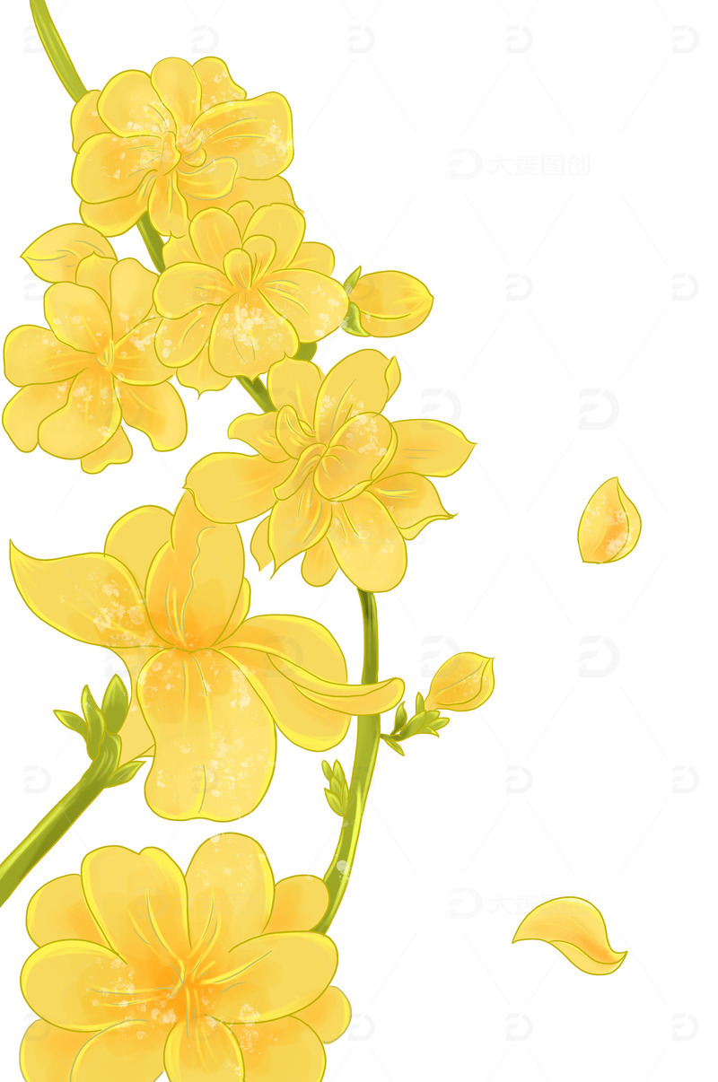 黄色小清新迎春花春天手绘插画元素