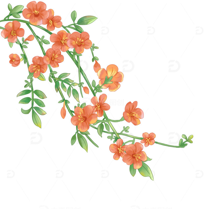 橘色水彩小清新春天凌霄花手绘元素
