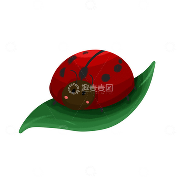 源文件下载【趣麦麦图】春天红色瓢虫绿叶手绘元素