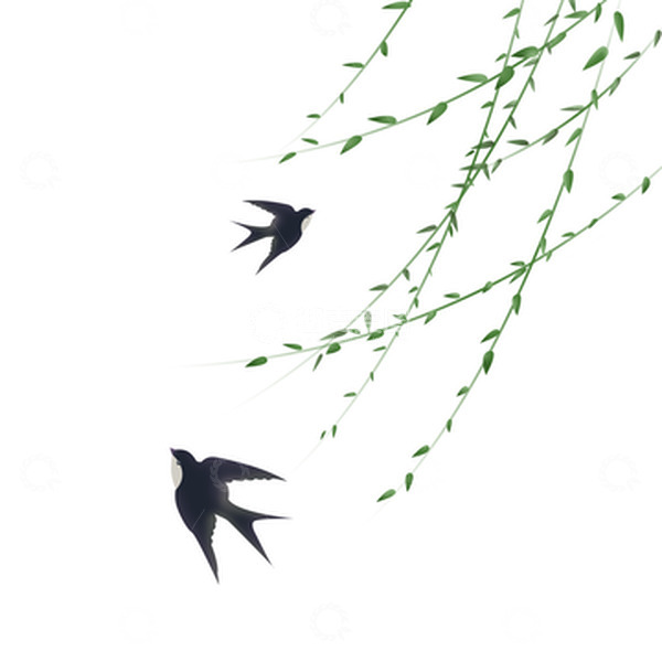 源文件下载【趣麦麦图】绿色简约春天柳条燕子