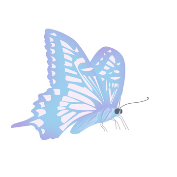 蓝紫色蝴蝶春天昆虫凤尾蝶