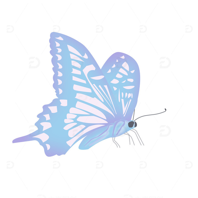 蓝紫色蝴蝶春天昆虫凤尾蝶