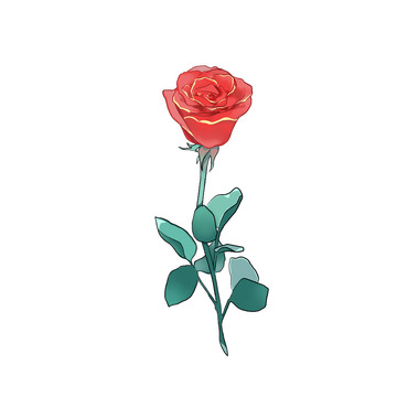 一支红色玫瑰花浪漫情人节花朵手绘图
