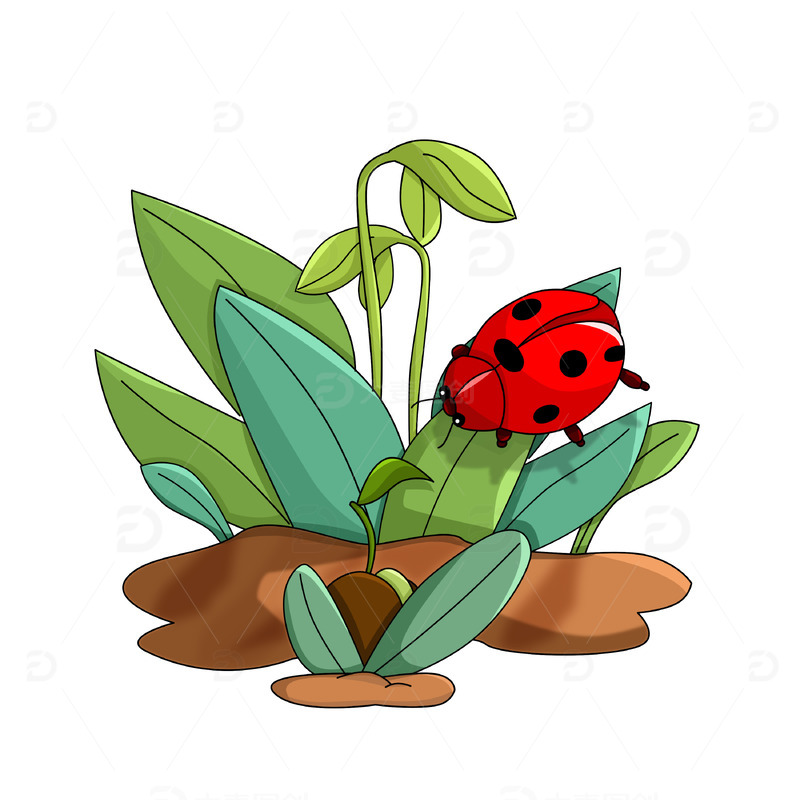 春天发芽植物草丛瓢虫昆虫卡通元素