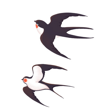 春天春分手绘燕子插画