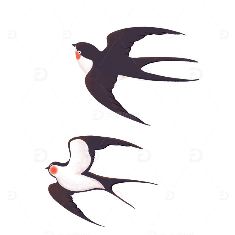 春天春分手绘燕子插画