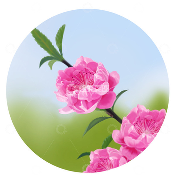 源文件下载【趣麦麦图】春天粉色花朵樱花