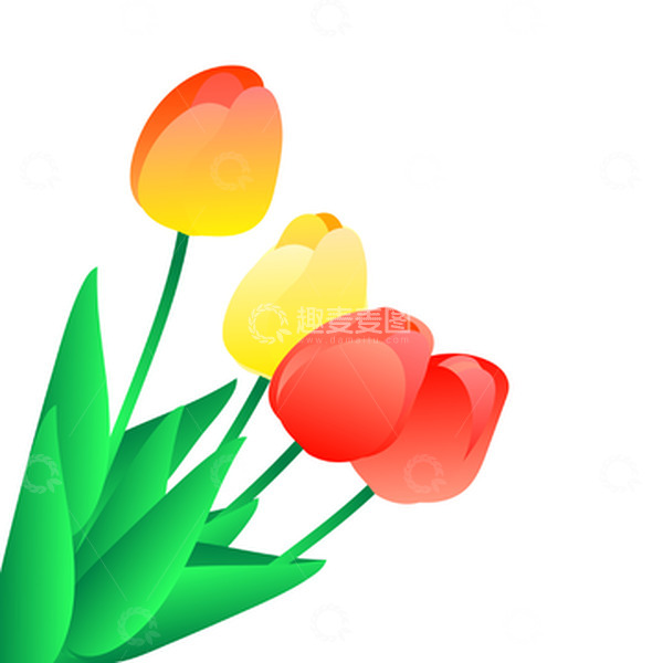 源文件下载【趣麦麦图】春天花草红色郁金香矢量元素