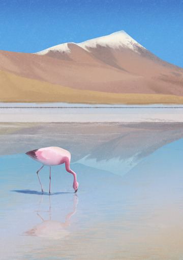 粉系小清新山水火烈鸟手绘图