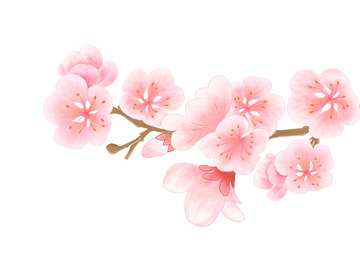 春天唯美立春树枝粉色高清手绘浪漫樱花桃花