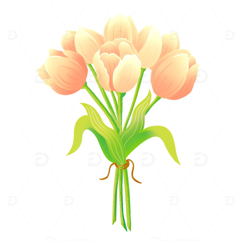 国风手绘花国朝风白兰花分层插画图