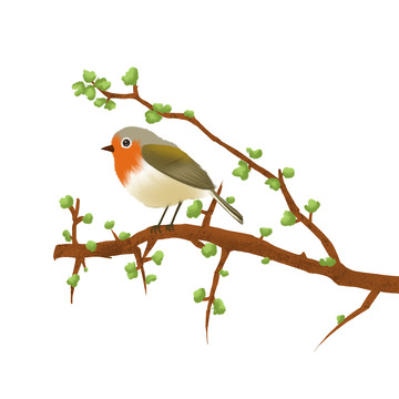 绿色春色毛茸茸小鸟简约手绘图