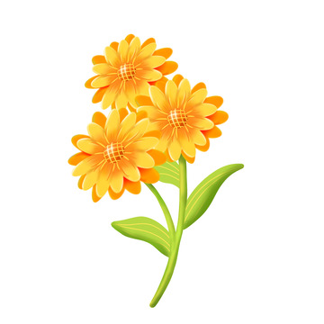 向日葵阳光春天花草绿色小清新植物