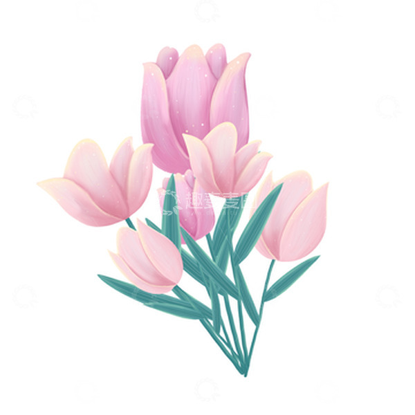 源文件下载【趣麦麦图】手绘小清新粉色郁金香鲜花海报装饰元素