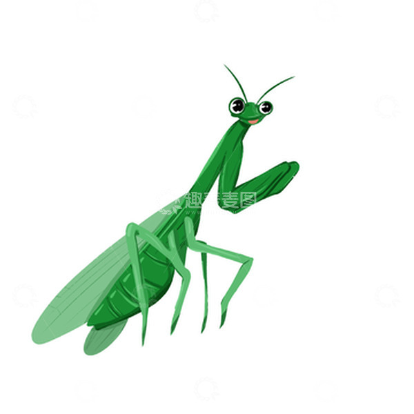 源文件下载【趣麦麦图】绿色手绘插画昆虫螳螂插画春天