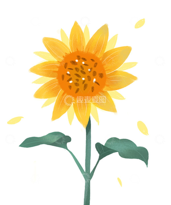 源文件下载【趣麦麦图】手绘卡通向日葵装饰元素
