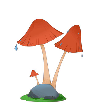 雨水节气下雨天蘑菇元素