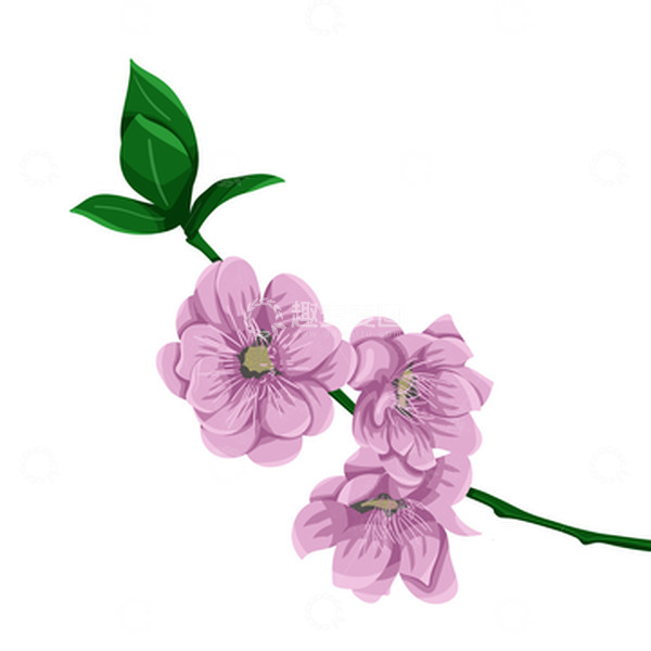 源文件下载【趣麦麦图】春天精品一枝桃花手绘插画元素粉色花朵