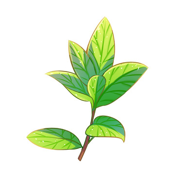 春天手绘叶子树枝