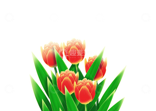 源文件下载【趣麦麦图】立春妇女节手绘鲜花