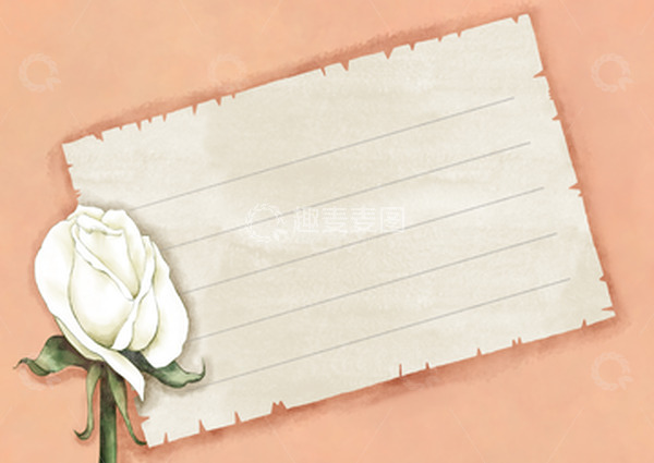 源文件下载【趣麦麦图】妇女节白玫瑰信纸