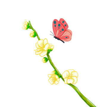 春天盛开的梨花和飞舞的蝴蝶