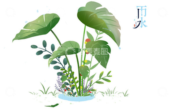 源文件下载【趣麦麦图】雨水植物插画元素