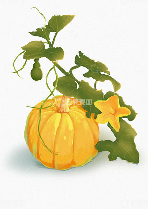 源文件下载【趣麦麦图】扁平风插画蔬菜南瓜组合元素