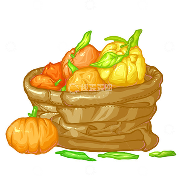 源文件下载【趣麦麦图】线稿风插画水果橘子组合包装元素