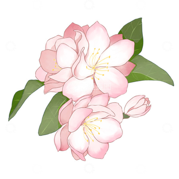 源文件下载【趣麦麦图】-春天唯美手绘海棠花
