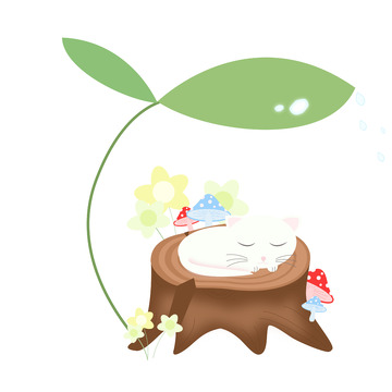 树桩白色猫咪蘑菇露水雨