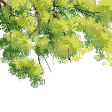 春天绿色植物树叶