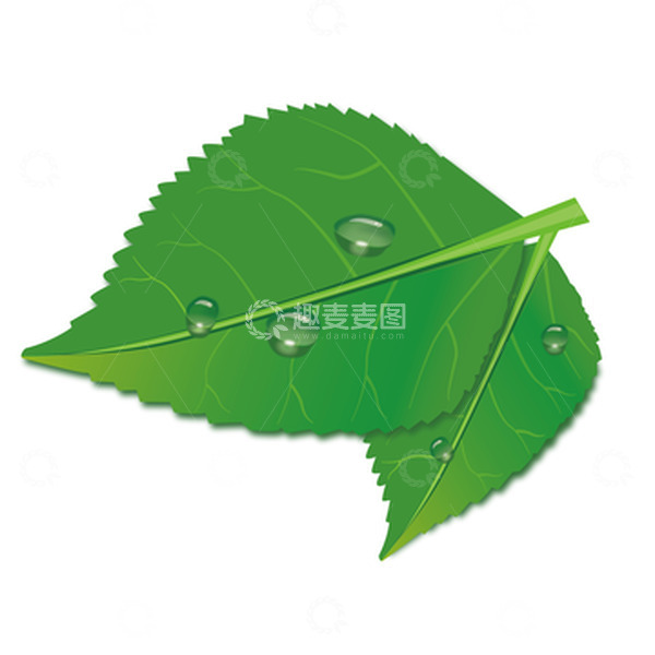 源文件下载【趣麦麦图】-绿色小清新手绘树叶元素