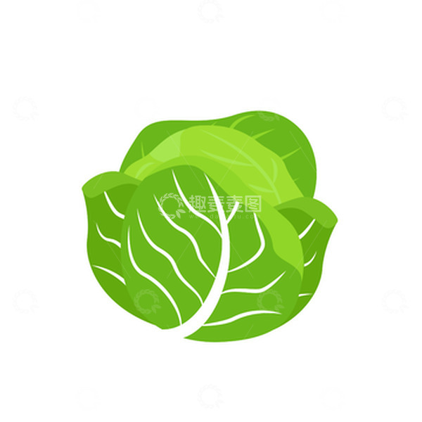 源文件下载【趣麦麦图】绿色卷心菜蔬菜卡通手绘图