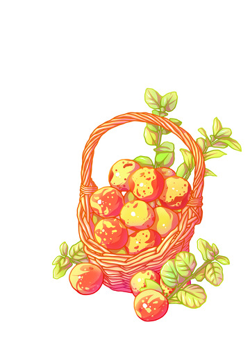 手绘红枣水果食品枣免抠包装元素国潮风插画
