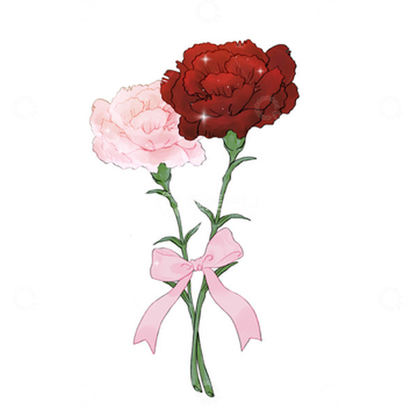 源文件下载【趣麦麦图】妇女节康乃馨