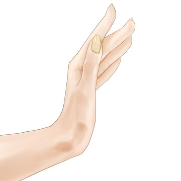 手摸手扶手拿手势人手手绘购物女性手抬手举