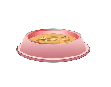宠物猫粮食物