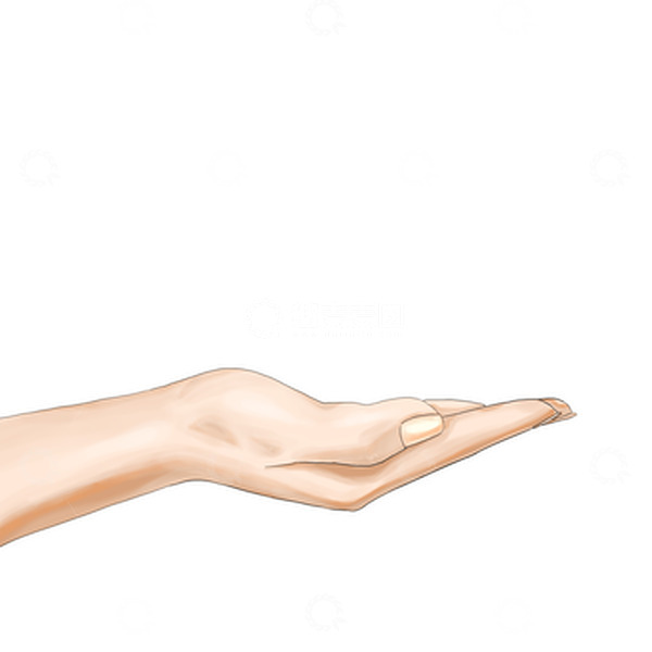 源文件下载【趣麦麦图】手托举抬手手指手捧人手手势手绘