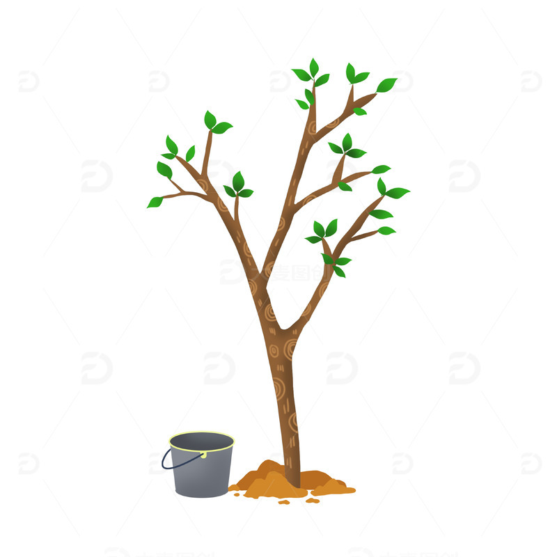 植树节小树苗水桶