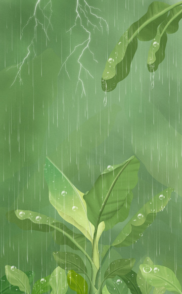 春雷雨打芭蕉