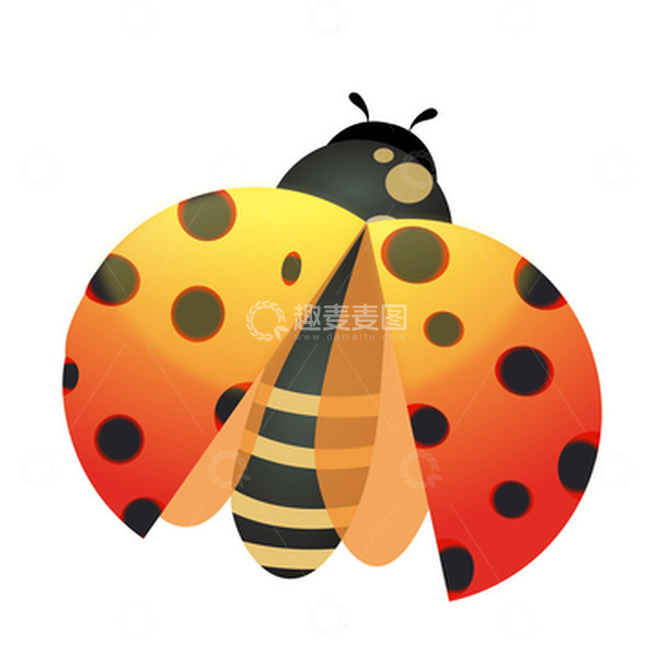 源文件下载【趣麦麦图】瓢虫惊蛰昆虫可爱手绘七彩瓢虫