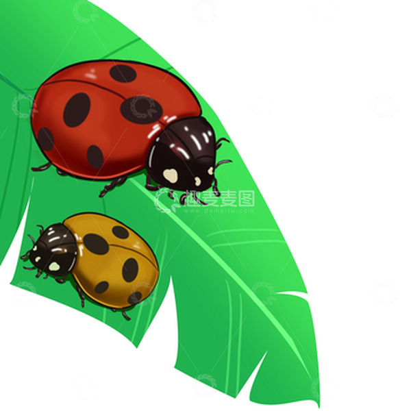 源文件下载【趣麦麦图】惊蛰昆虫瓢虫虫子春天红色绿色黄色高光动物