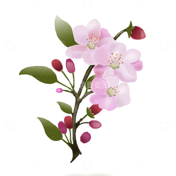 源文件下载【趣麦麦图】春天粉色花朵手绘