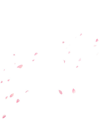 手绘樱花飘落的樱花粉色樱花桃花立春妇女节