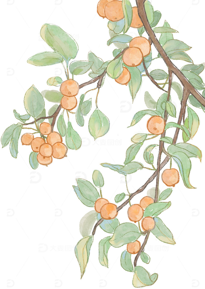 源文件下载【趣麦麦图】成熟海棠果 果树