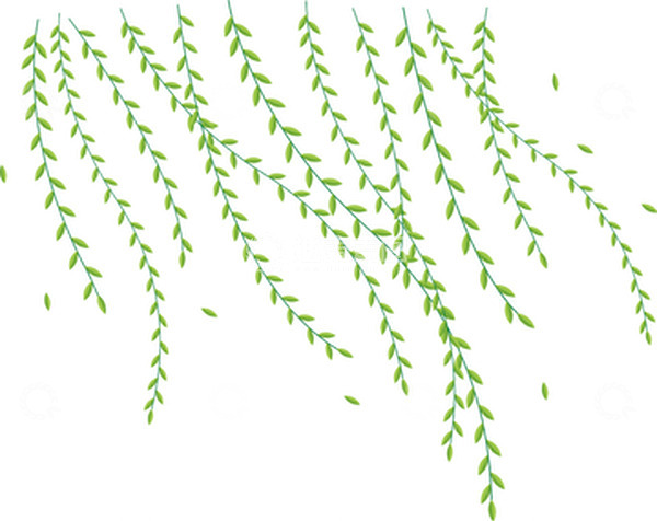 源文件下载【趣麦麦图】简约卡通柳叶树藤