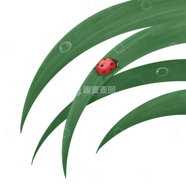 源文件下载【趣麦麦图】春天惊蛰绿色树叶七星瓢虫水珠
