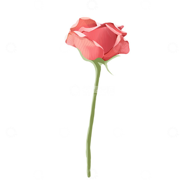 源文件下载【趣麦麦图】一支娇艳欲滴的玫瑰花妇女节精品手绘图